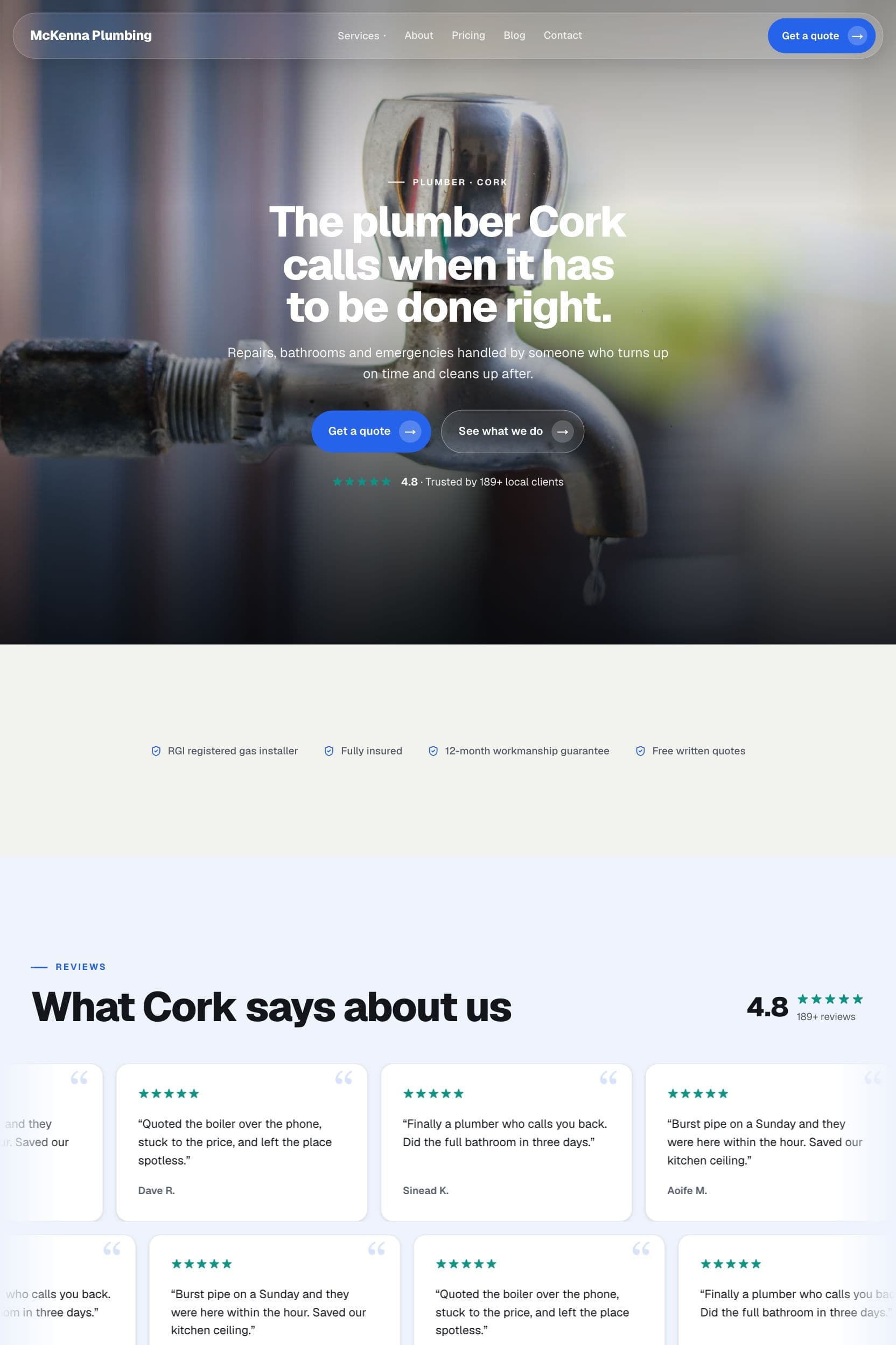 Example plumber website built by Webnua for Cork