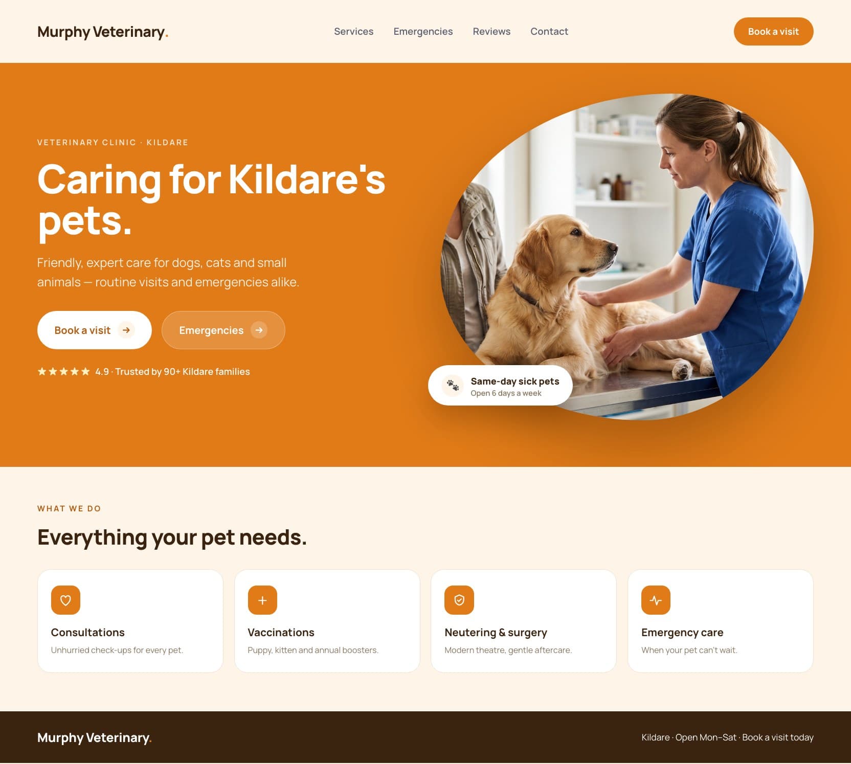 Example vet website built by Webnua for Kildare